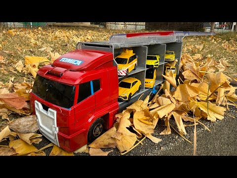 Tomica ☆ Red Cleaning Convoy & Red and Yellow Cars