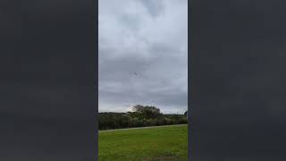 F180遙控直升機菜鳥特技飛行！#short
