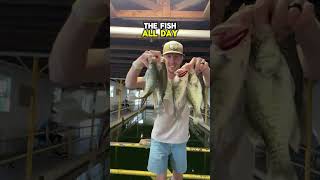 Fishing in a Crappie house!📹@Hunterdubs.fwtx