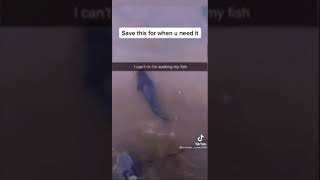#killerfish #walking #fish #myfish