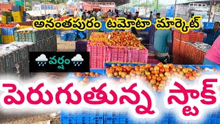 03-07-2025 today Anantapur tomato stock #kolartomatomarketratetoday #Anantapurtomatorates #tomato