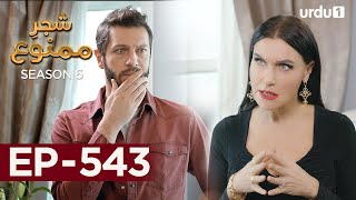 Shajar-e-Mamnu | Episode 543 | Turkish Drama  | Forbidden Fruit | Urdu Dubbing | 11th April 2023 |
