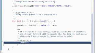 Break Statement Example