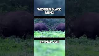 Last Videos of 5 Extinct Animals