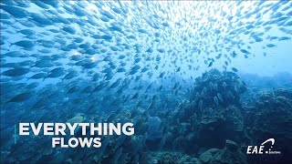 Everything Flows - Control and Vision Systems | By EAE Solutions