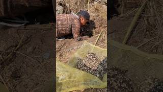 How to properly remove escamoles #escamoles #ranchlife