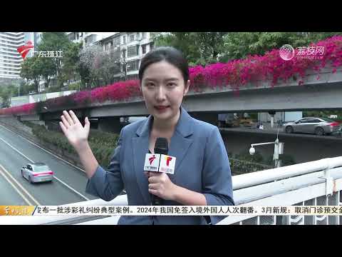 【今日关注】柴油车被误加92号汽油 油站：已根据保险赔偿|花2.5万买“高科技”塑形衣？消费者遭退款难|广州区庄立交下午起火 记者直击晚高峰路况|20250228完整版 #粤语 #news