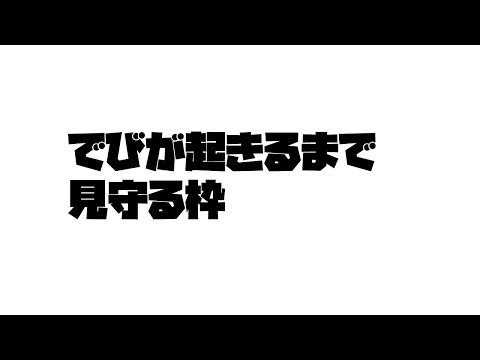 でびが起きるまで見守る枠