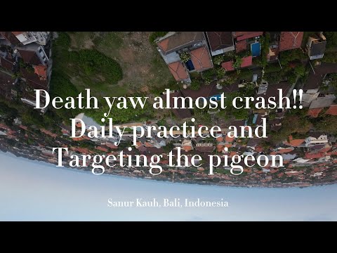 DJI AVATA DEATH YAW-ALMOST CRASH during target the bird-daily practice in backyard-Bali