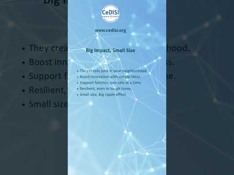 Nano Enterprises: Small Size, Big Impact by CeDISI NGO