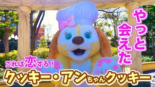 【5年間待ってた！】クッキー・アンとついにグリーティング！　恋するアンちゃんクッキーにときめく♪ ディズニーシー  Tokyo Disneysea Cookie Ann 2025年2月26日