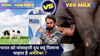 NON VEG MILK Explained | Why does America want to feed non-vegetarian milk to India?