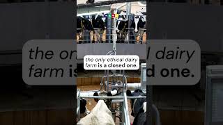 Dairy Can Never Be Ethical