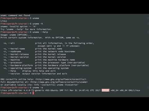 Getting Started - Getting Around Your Server