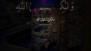 The beautiful and most rear ayat of Quran pak #sukoon #quranverse #islamicshorts