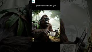 "window +s " tech tips by #bigfoot