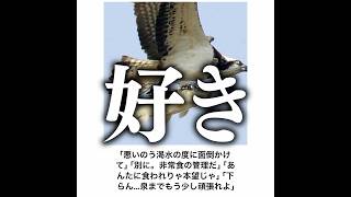 【惚れた】殿堂入りボケてがマジでツッコミどころ満載だったwww【1678弾】