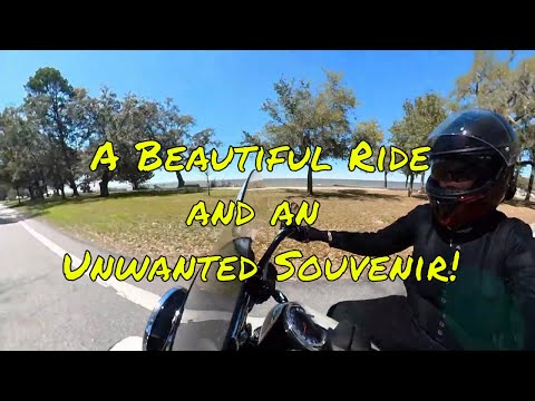 OUCH -  That BUG was Nasty
