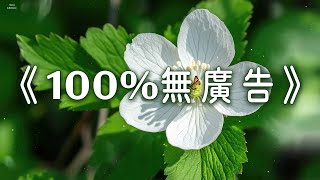 《100%無廣告》輕音樂吸引正能量並消除內心及周圍的負能量，消除壓力及焦慮，給你舒暢好心情，過慮一天累積的生活煩惱，提升睡眠品質，無憂無慮