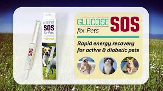 Discover Glucose SOS for Pets from PetTest!