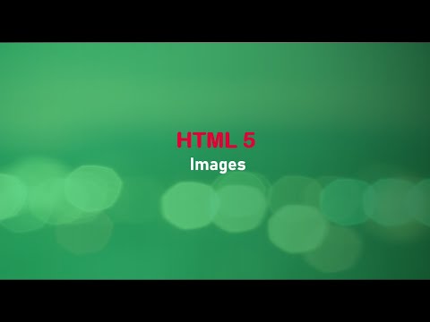 🖼️ HTML Image Tag Tutorial for Beginners 📸 | img, src, alt, Width, Height, Align Explained!