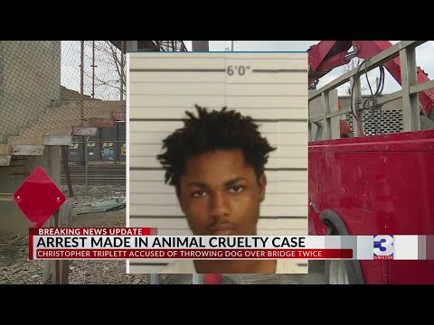 Arrest made in case of dog thrown off bridge