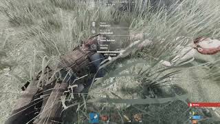 Why Rust sucks