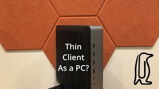 Can you use a THIN CLIENT as a standalone PC?