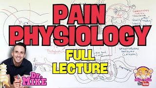 Pain Physiology | Nociception