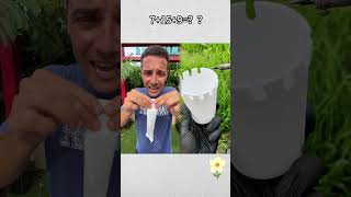 This is a video that can make you happy all day long.