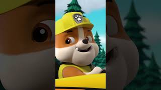 尋找傳奇小雞鬱金香！#PAWPatrol #Shorts 兒童卡通