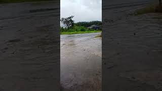 #nature #shortmusic #shortmusictrack #shortsong #shorts #shortvideo #short #song #lifeisbutadream