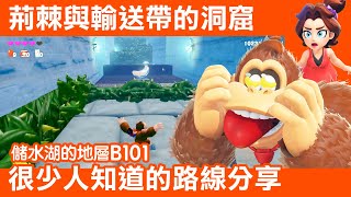 【咚奇剛 蕉力全開】荊棘與輸送帶的洞窟/儲水湖的地層B101 解法