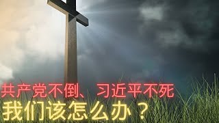 主日分享：共产党不倒、习近平不死，我们该怎么办？