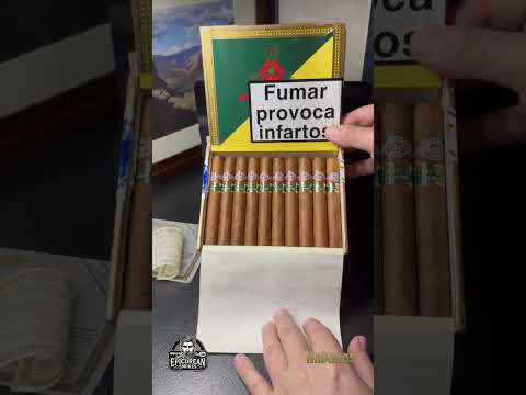 Montecristo Open Junior Unboxing | Vintage Cuban Cigar Flavor Profile & Pairing