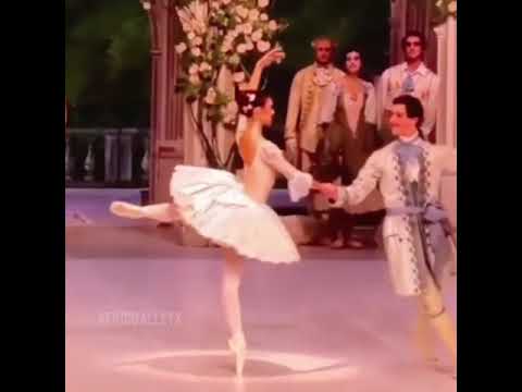 わかる人にはわかるしんどさ　【バレエ】【ballet】バレエあるある