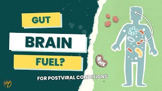 Why Butyrate Matters in ME/CFS and Long COVID