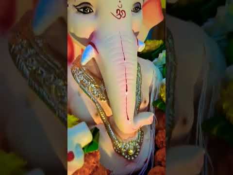 ganpati Bappa Morya 🌺