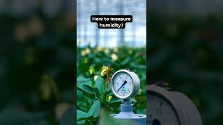 Gravio Sensor Data Visualization: Use #Gravio #IoT #DataVisualization for seamless insights!