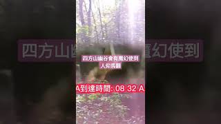 四方山的魔幻 Magic💥