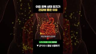 아침 공복 상태를 유지하는 게 건강에 좋은 이유