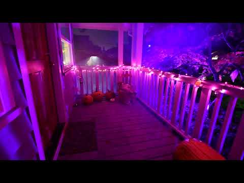 Halloween Decor