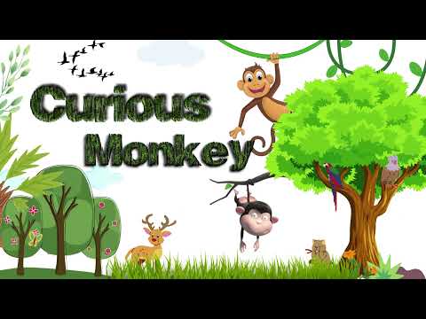 Intro