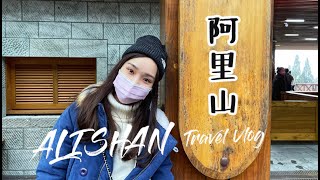 嘉義｜VLOG｜阿里山一日遊❖ALISHAN