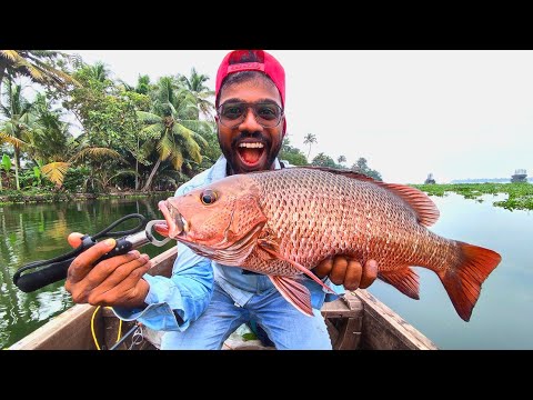 കേരളത്തിലെ പുഴയിൽ നിന്ന് കിട്ടിയ Red Snapper... | Mangrove Jack | Mangrove Red Snapper | Black bass