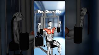 FULL BODY WORKOUT AT GYM - EFFECTIVE EXERCISES ( WE GO GYM )