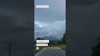 Dambulla 🇱🇰 🛩🛥⛱🌴🐋🐘🐆