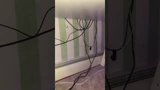 #stitch #tech #desk #cablemanagement #country #billieeilish #Pc #pctips