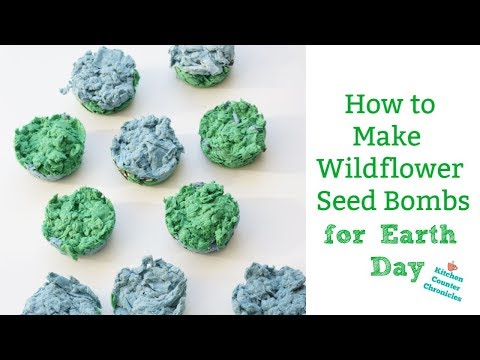 How to Make Wildflower Seed Bombs