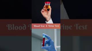 What are Fertility Test for Female